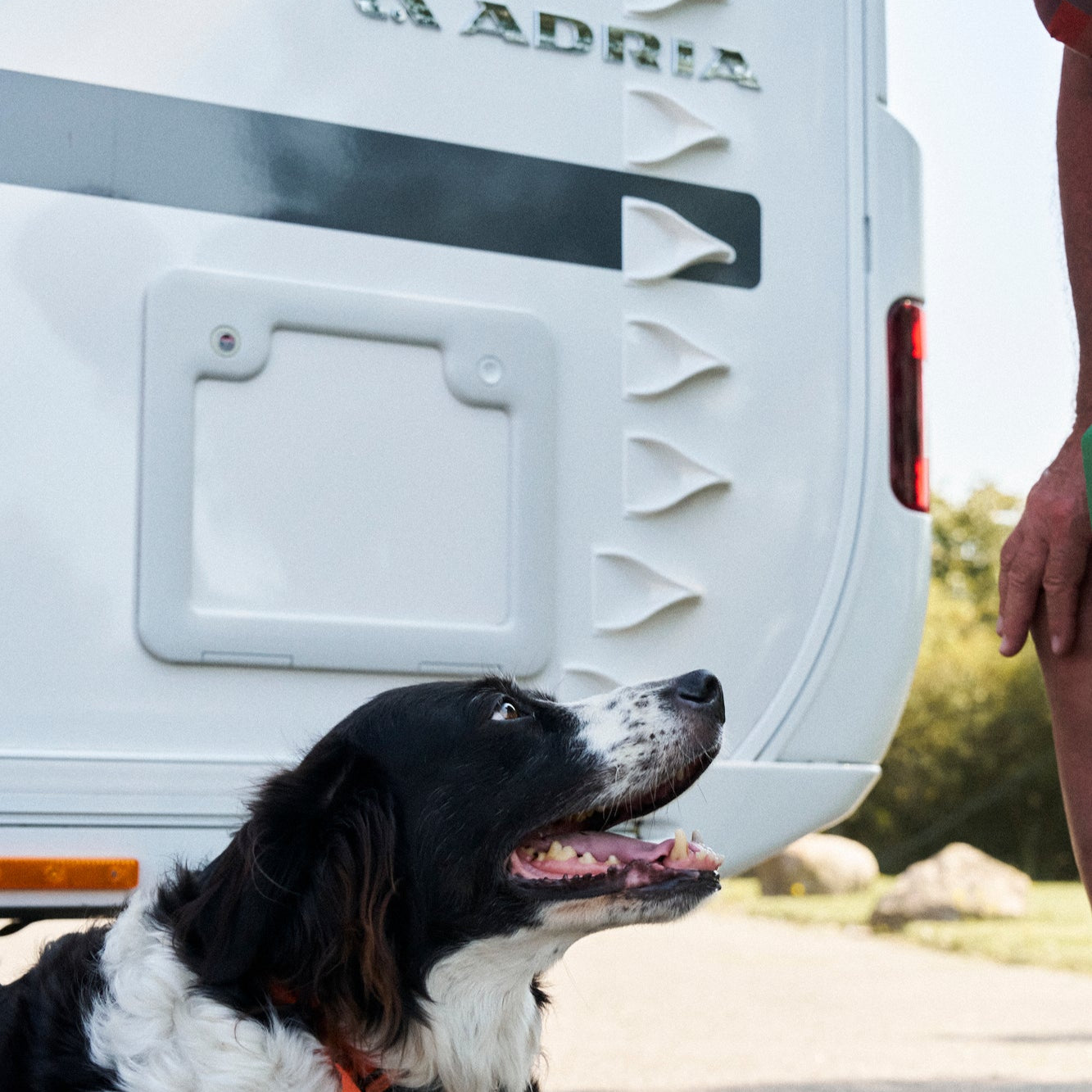 V-Spoiler für Wohnwagen (Satz mit 50 Stück)